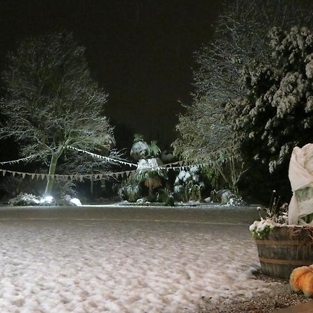 Вилла Da Gastone Rivignano Экстерьер фото