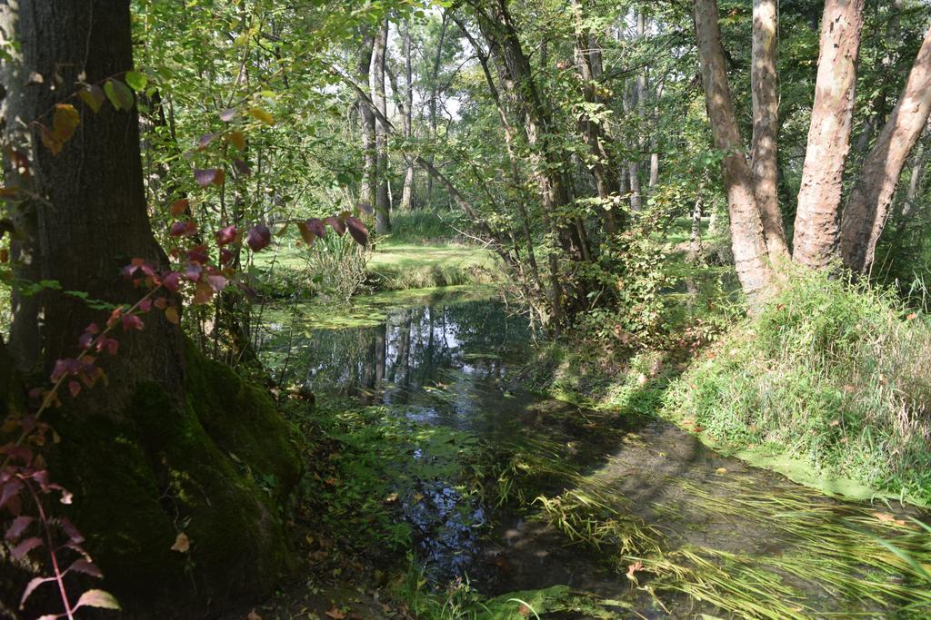 Вилла Da Gastone Rivignano Экстерьер фото