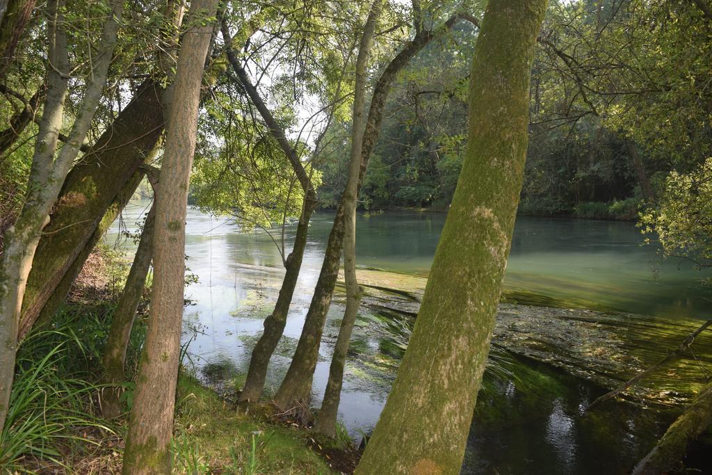 Вилла Da Gastone Rivignano Экстерьер фото