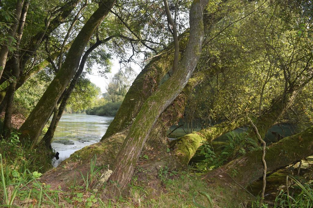 Вилла Da Gastone Rivignano Экстерьер фото