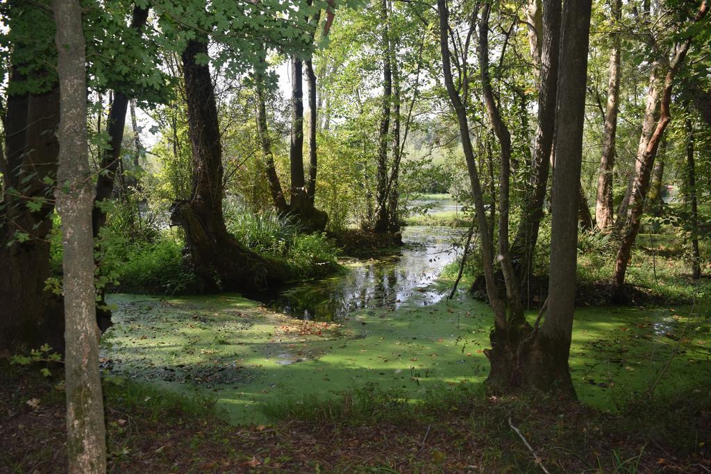 Вилла Da Gastone Rivignano Экстерьер фото